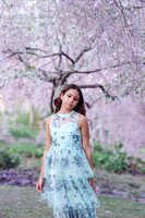 Mia Cherry Blossoms 2024